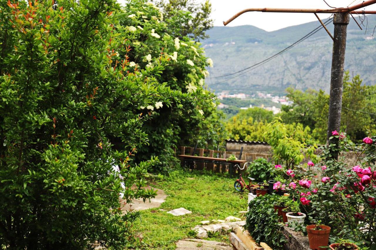 Kamp Seosko Domacinstvo Radman Hotel Herceg Novi Luaran gambar