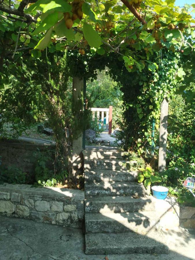 Kamp Seosko Domacinstvo Radman Hotel Herceg Novi Luaran gambar