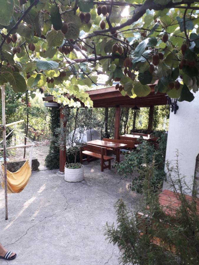 Kamp Seosko Domacinstvo Radman Hotel Herceg Novi Luaran gambar