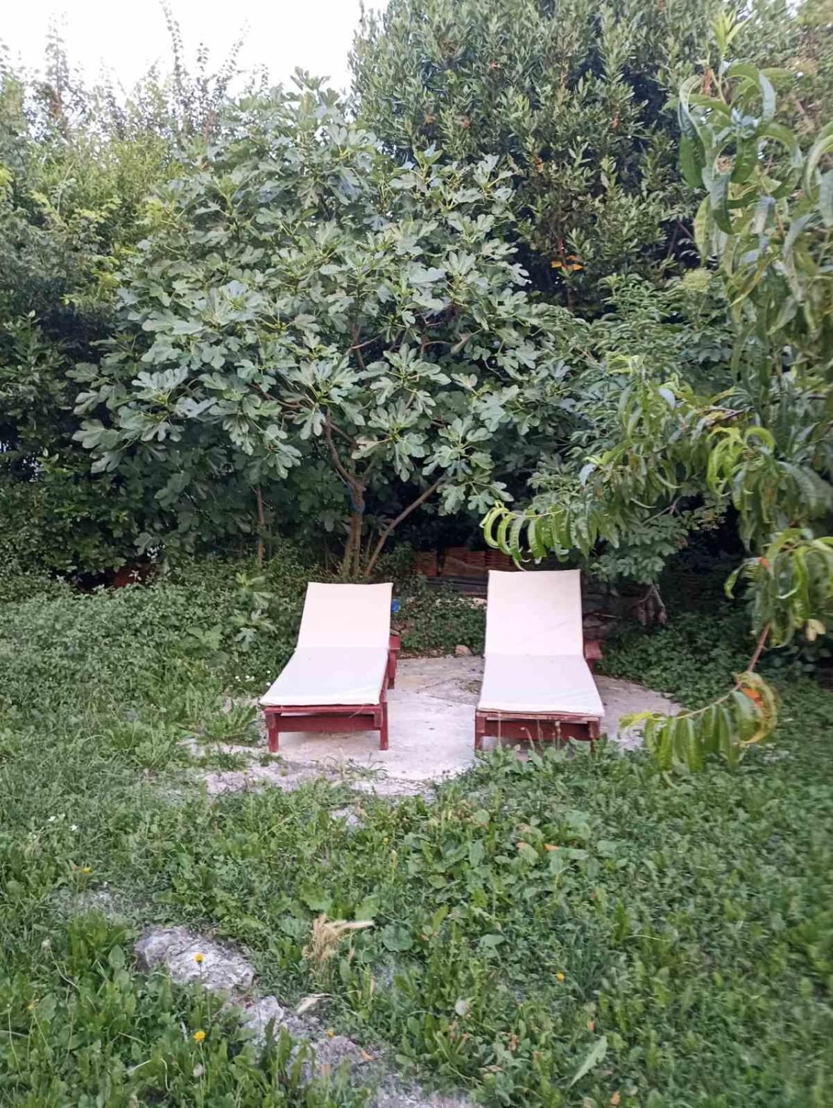 Kamp Seosko Domacinstvo Radman Hotel Herceg Novi Luaran gambar