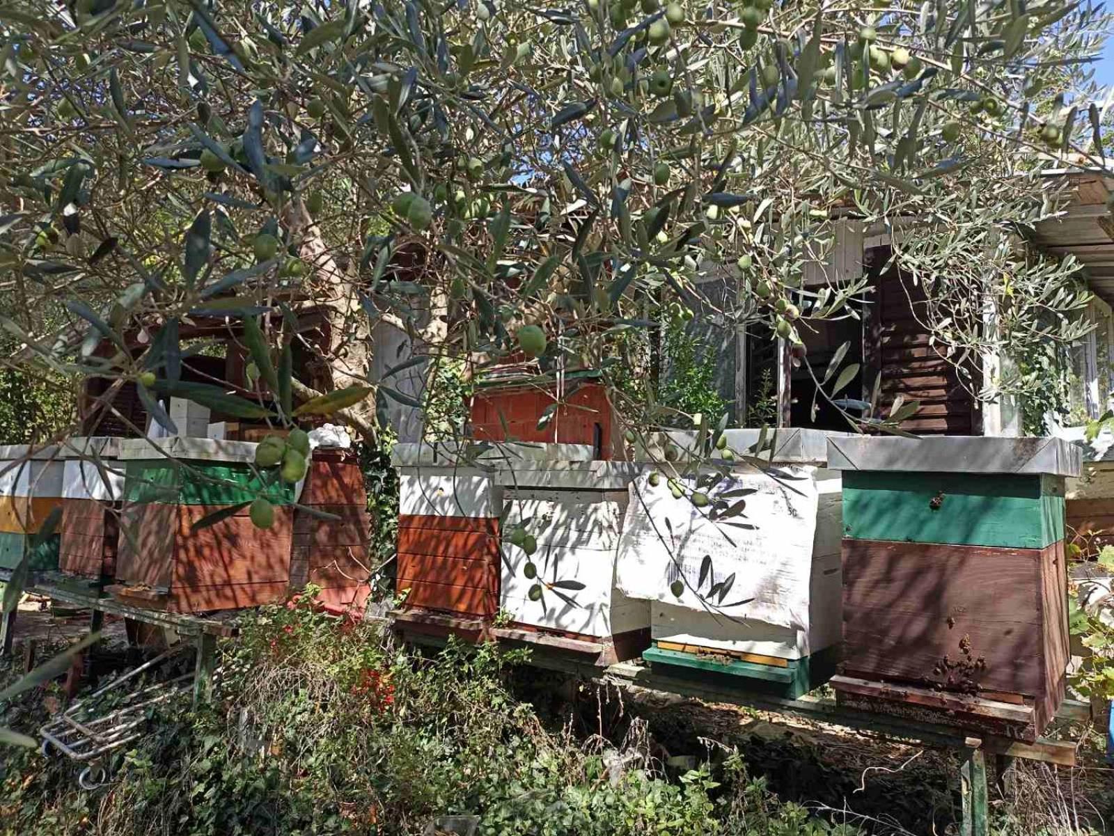 Kamp Seosko Domacinstvo Radman Hotel Herceg Novi Luaran gambar